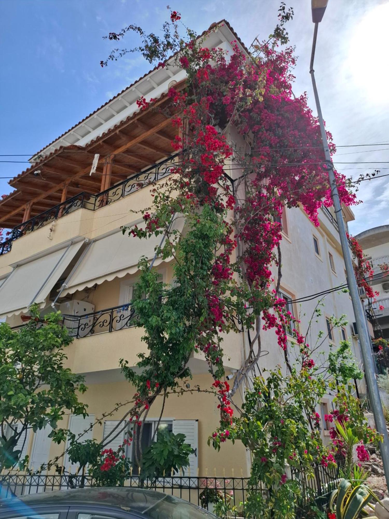 Vila Veli Brothers Sarandë Exterior foto
